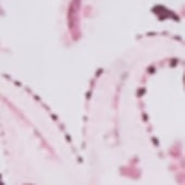 Productafbeelding: Mauve Productafbeelding: Mauve