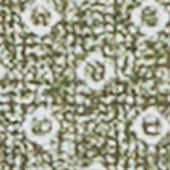 Product image: Olive Product image: Olive