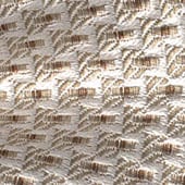 Productafbeelding: Natuur Productafbeelding: Natuur