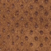 Produktbild: Camel Produktbild: Camel