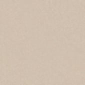 Productafbeelding: Lichtbeige Productafbeelding: Lichtbeige