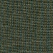 Product image: Olive Product image: Olive
