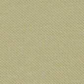 Product image: Lime Product image: Lime