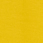 Immagine del prodotto: Mango Immagine del prodotto: Mango