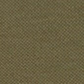 Product image: Olive Product image: Olive