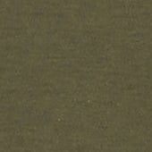 Product image: Olive Product image: Olive