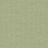 Productafbeelding: Mint Productafbeelding: Mint