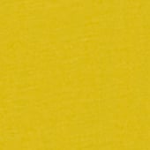 Productafbeelding: Mango Productafbeelding: Mango