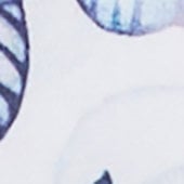 Variantafbeelding: Blauw Variantafbeelding: Blauw
