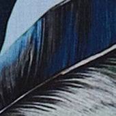 Variantafbeelding: Blauw Variantafbeelding: Blauw
