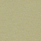 Variantafbeelding: Groen Variantafbeelding: Groen